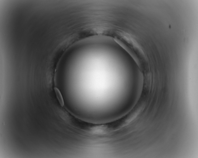 X0000088900505200706081308