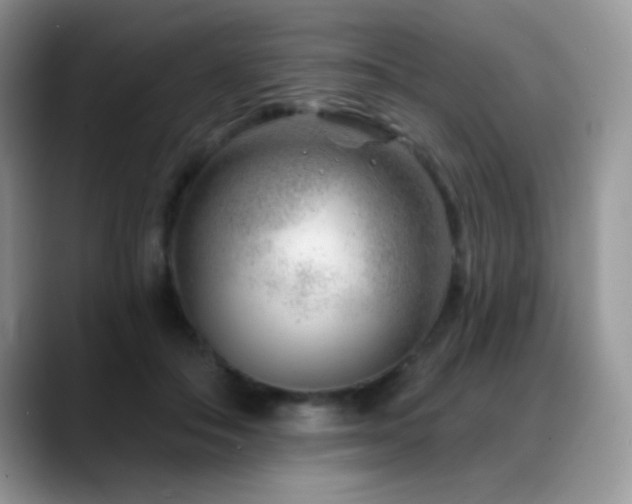 X0000088900506200706081308
