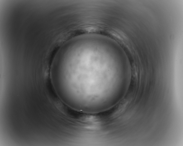 X0000088900507200706081308