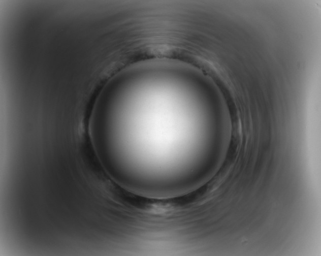 X0000088900508200706081308