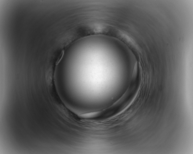 X0000088900509200706081308