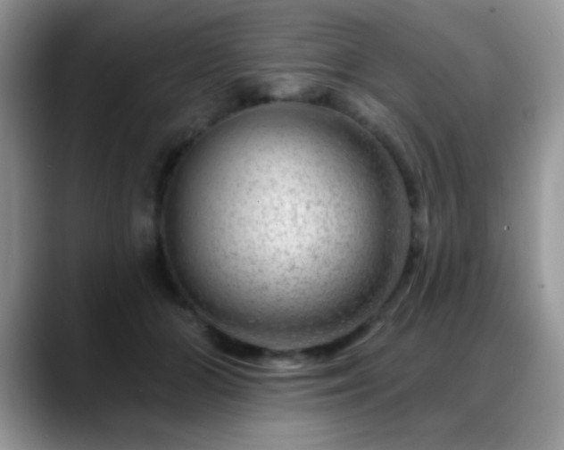 X0000088900510200706081308