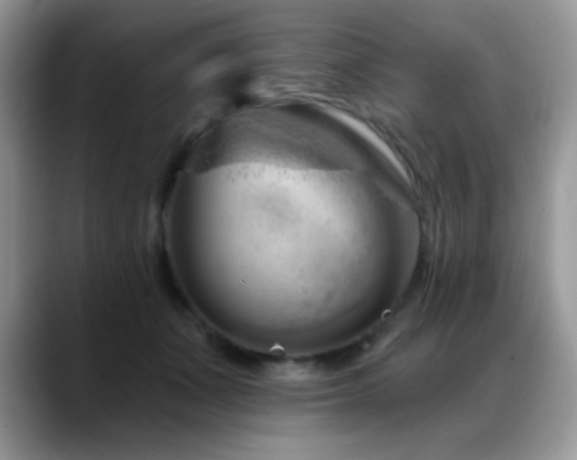 X0000088900511200706081308