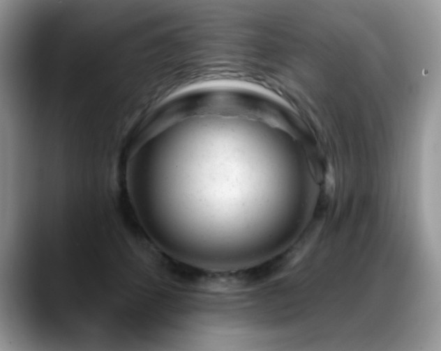 X0000088900512200706081308