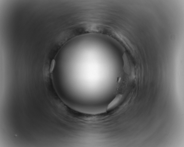 X0000088900513200706081308