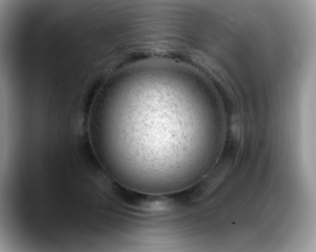 X0000088900514200706081308