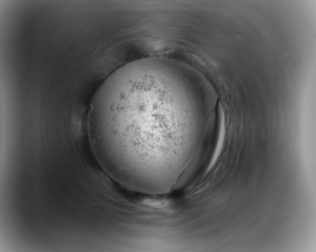 X0000088900515200706081308