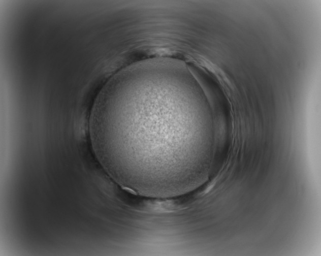 X0000088900517200706081308
