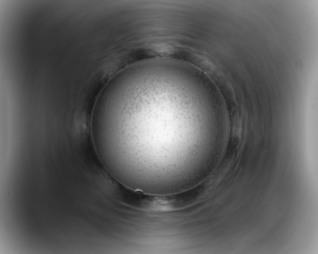 X0000088900518200706081308