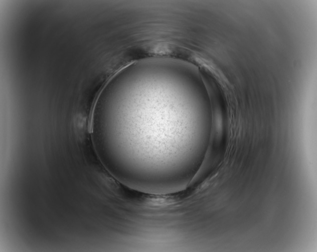 X0000088900521200706081308