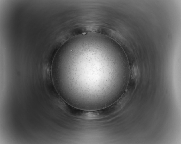 X0000088900522200706081308