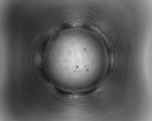 X0000088900523200706081308