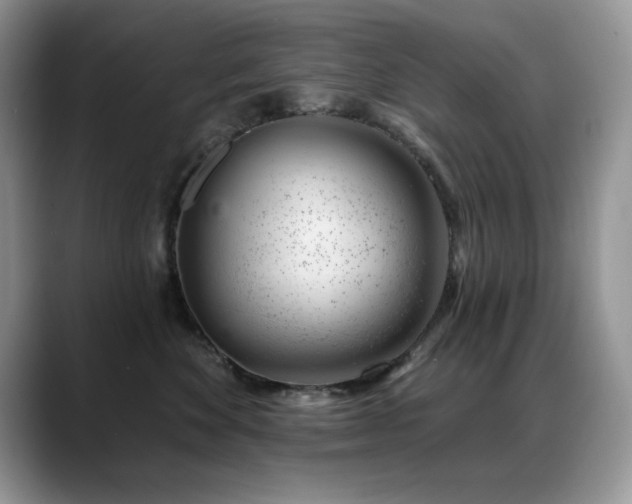 X0000088900524200706081308