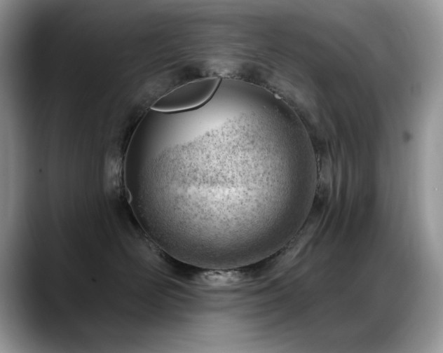 X0000088900526200706081308
