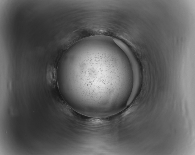 X0000088900528200706081308