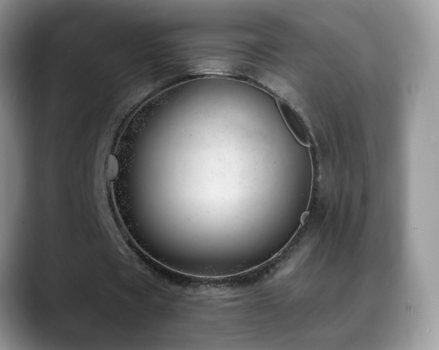 X0000088900529200706081307