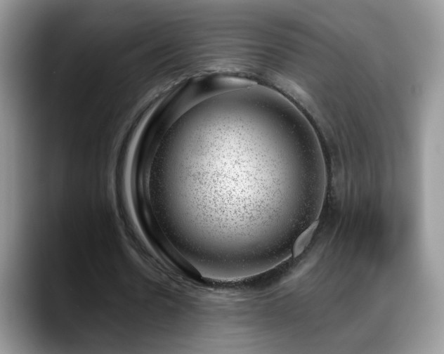 X0000088900530200706081307
