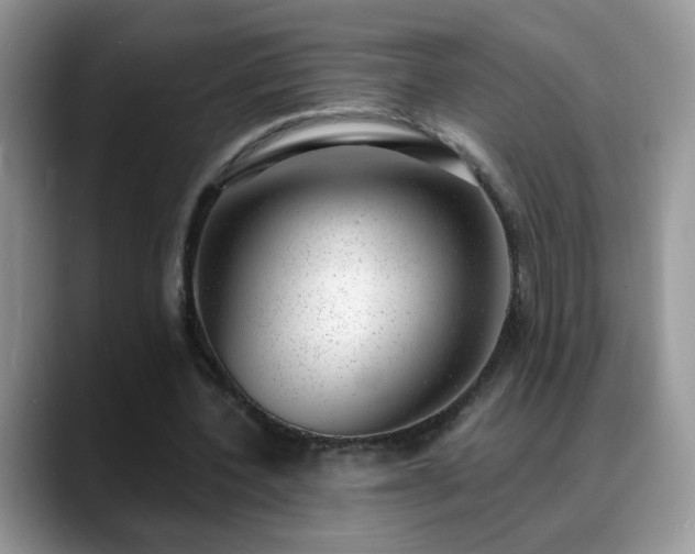 X0000088900532200706081307