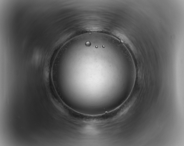 X0000088900533200706081307