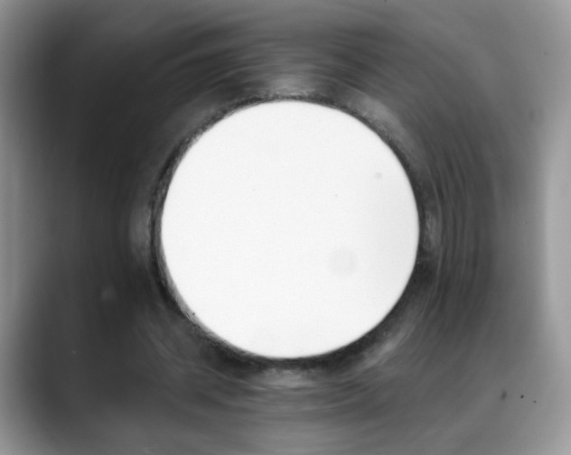 X0000088900534200706081307