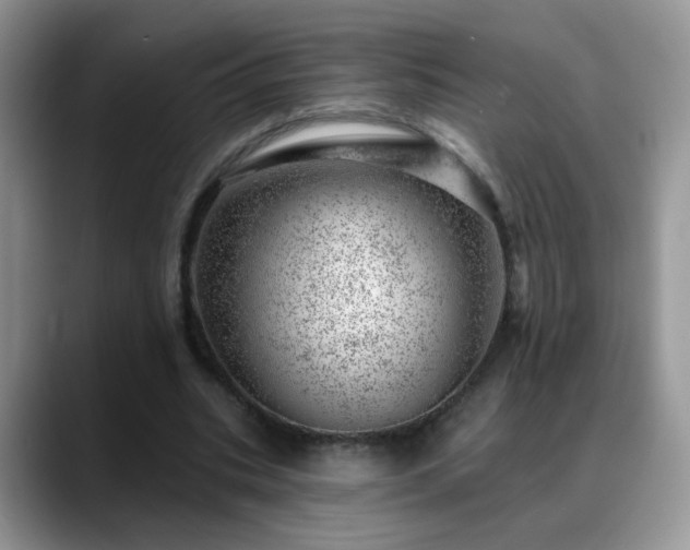 X0000088900535200706081307