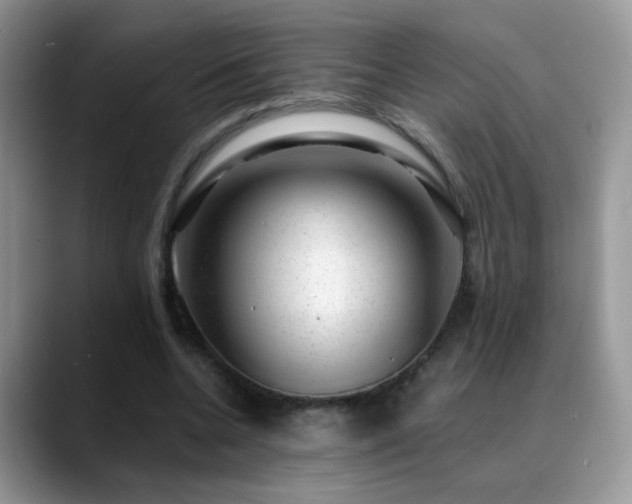 X0000088900536200706081307