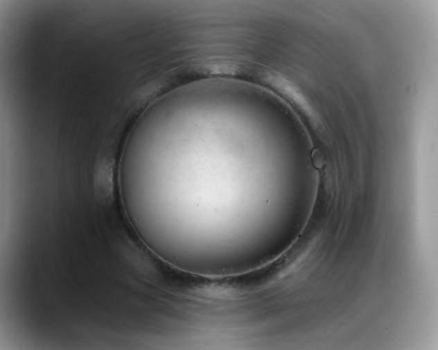 X0000088900537200706081307