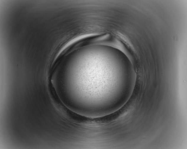 X0000088900538200706081307
