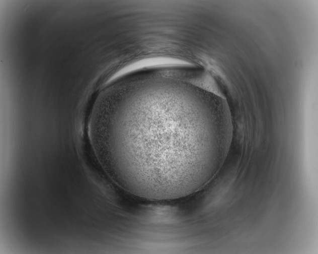X0000088900539200706081307