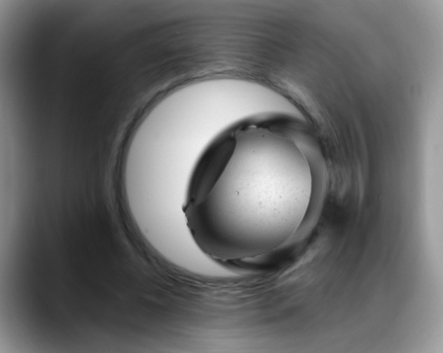 X0000088900540200706081307