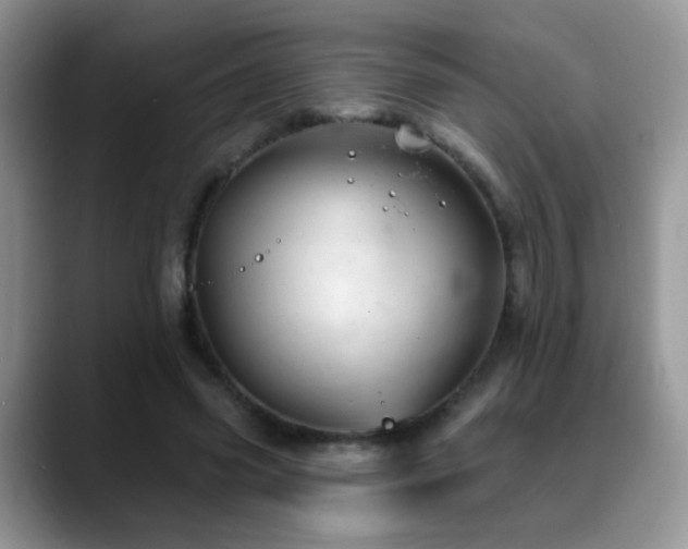 X0000088900541200706081307