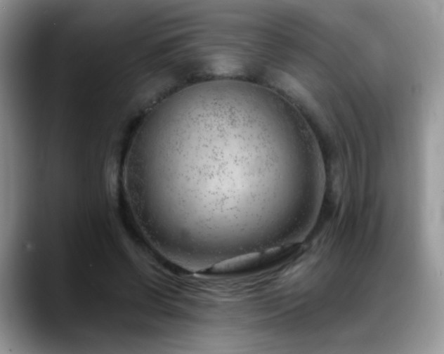 X0000088900542200706081307