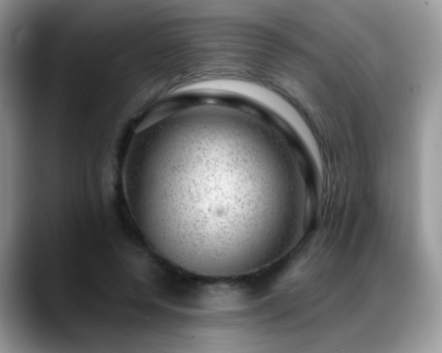 X0000088900544200706081308