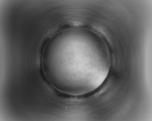 X0000088900545200706081308
