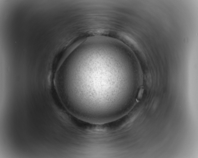 X0000088900546200706081308