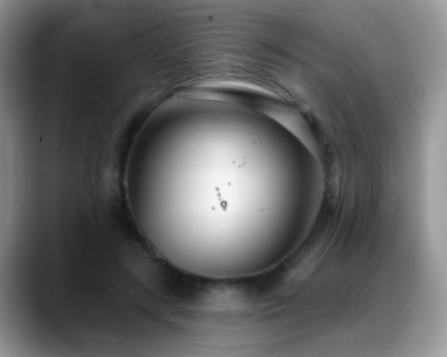 X0000088900547200706081308