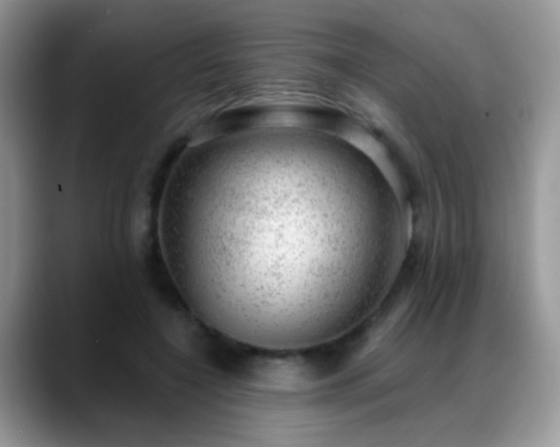 X0000088900548200706081308