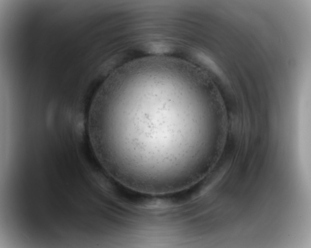 X0000088900549200706081308