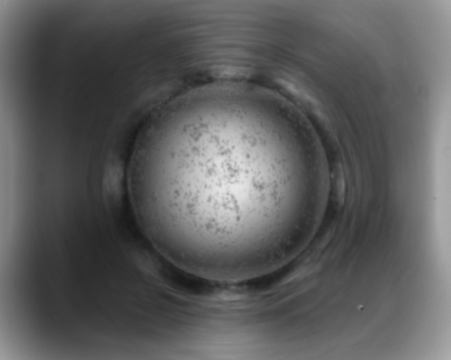 X0000088900550200706081308