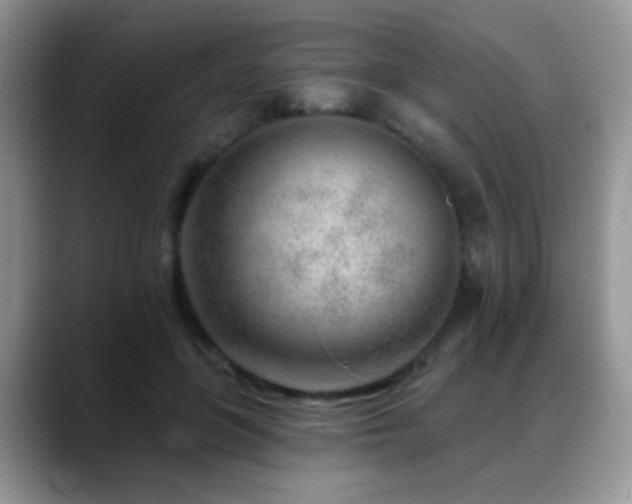 X0000088900551200706081308