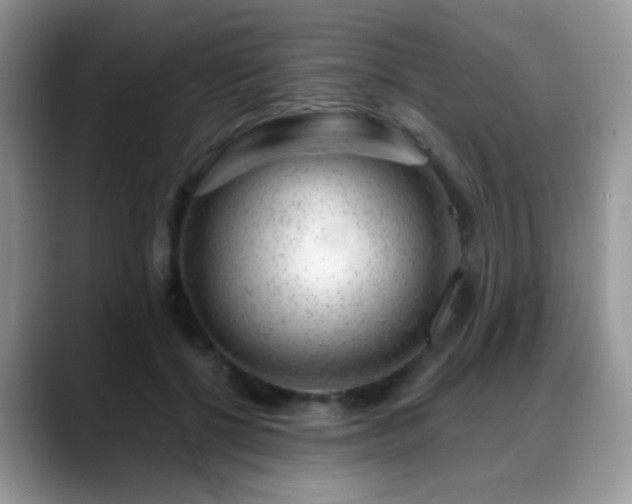 X0000088900552200706081308