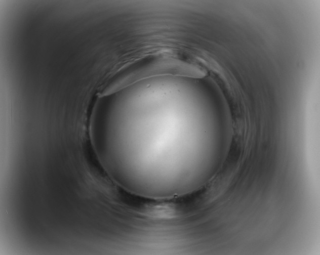 X0000088900553200706081308