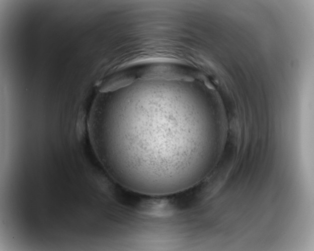 X0000088900554200706081308