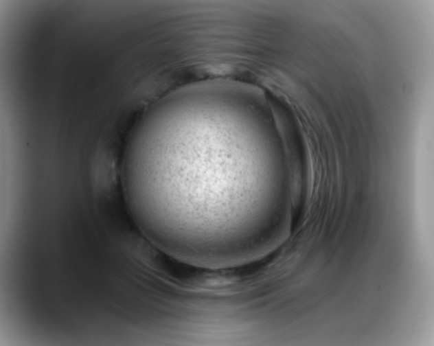 X0000088900555200706081308