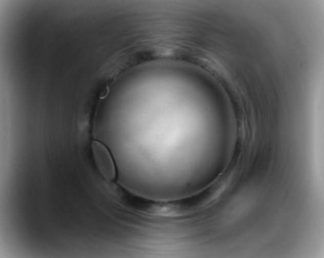 X0000088900557200706081308