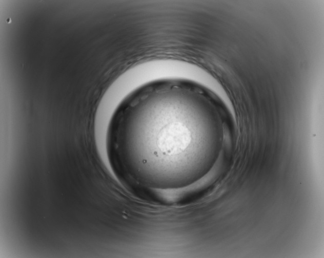 X0000088900558200706081308