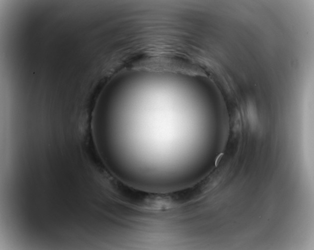 X0000088900559200706081308