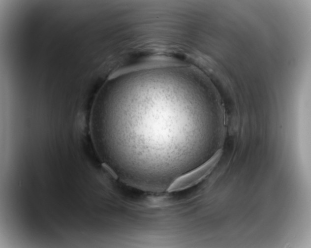 X0000088900560200706081308