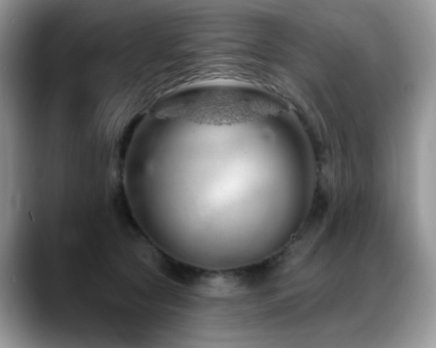 X0000088900561200706081308