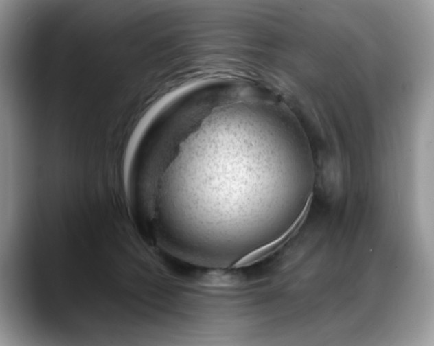 X0000088900562200706081308